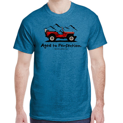 Aged to Perfection T-Shirt